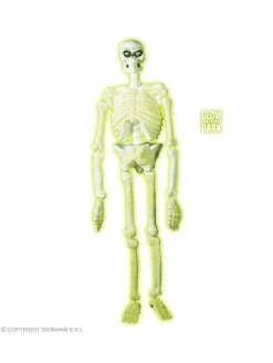 WIDMANN Squelette De Laboratoire Phosphorescent Dans Le Noir - 1,5 M